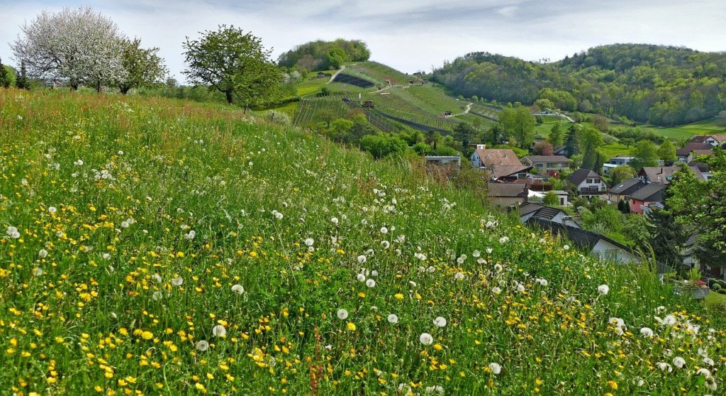 landscape, switzerland, aargau-4152491.jpg